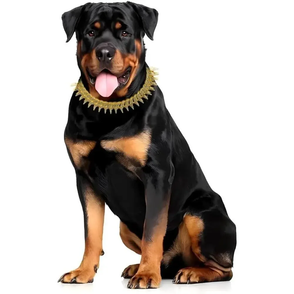 Gold Dog Chain Collar, Cool Spiked Style Necklace Bling Diamond Cuban Link 14in